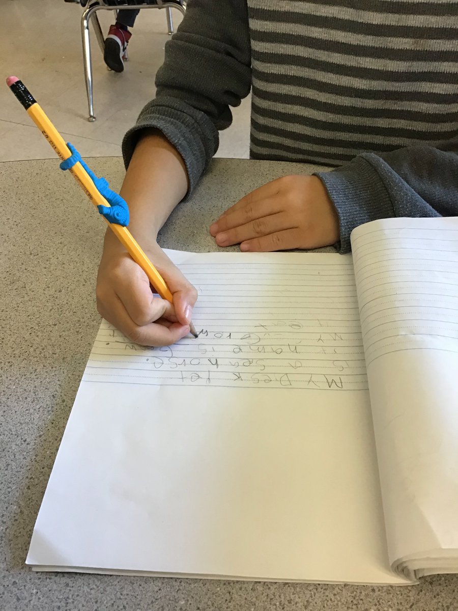 Look who arrived in our class today . . .  'Desk Pets'. 
 
Each student choose a pet that would become their own, gave it a name and wrote a journal entry to tell all about it. What a fun day! Ask your child to tell you about their new 'Desk Pet'.