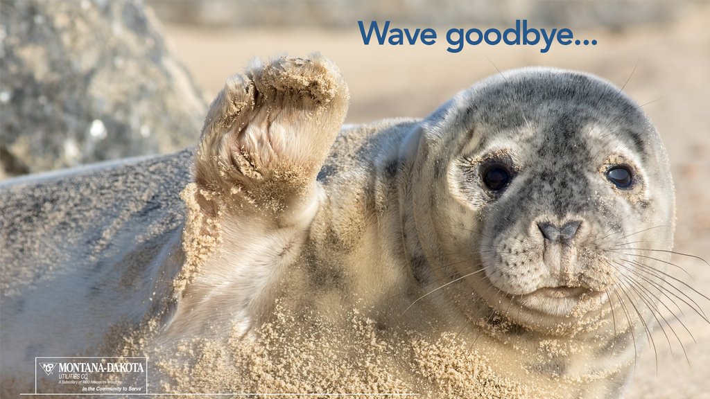 MontanaDakota's tweet photo. Wave goodbye to winter weather and heating bill debt. Contact us for information on how to get help paying overdue energy bills. Get more information at our assistance page here: https://t.co/5n4OVDLAT6
#goodbyedebt https://t.co/4dd0qUh6B5