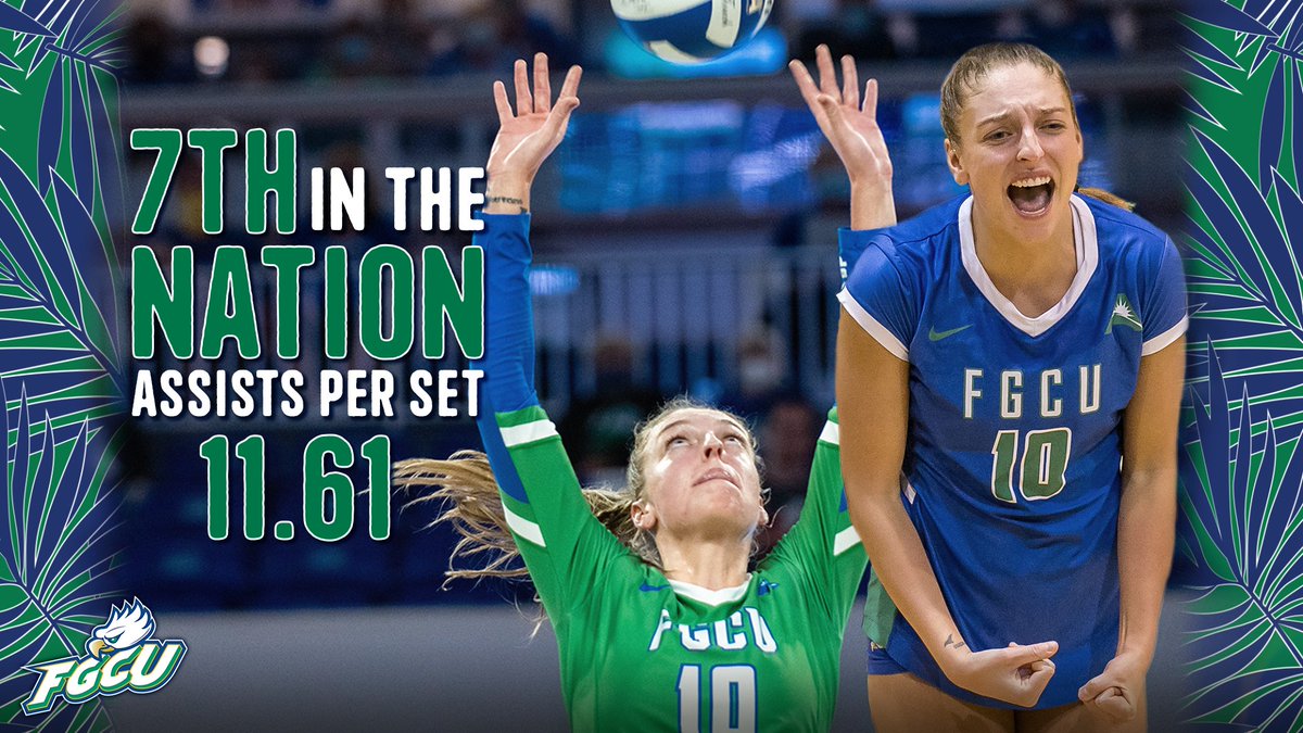 FGCU Volleyball tweet media