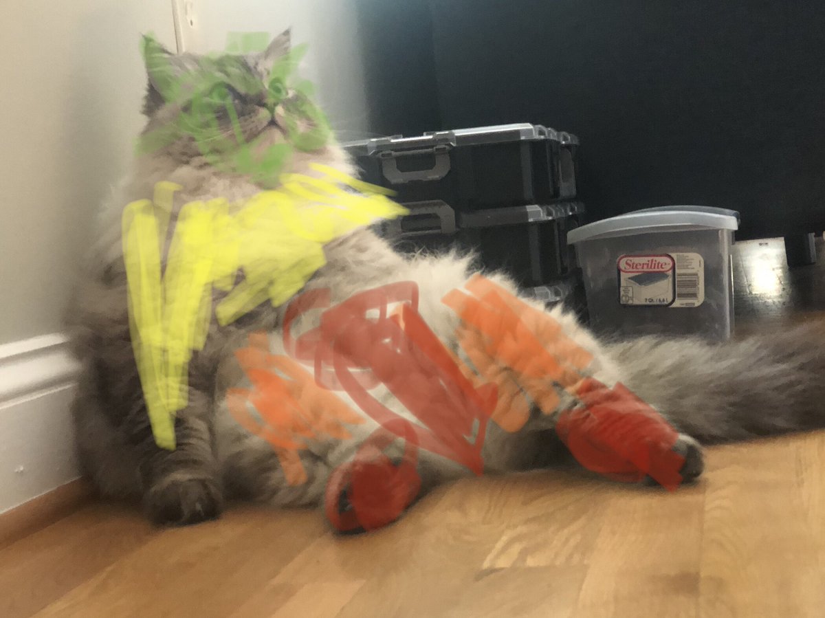 Vlad the Impaler the Cat tweet media