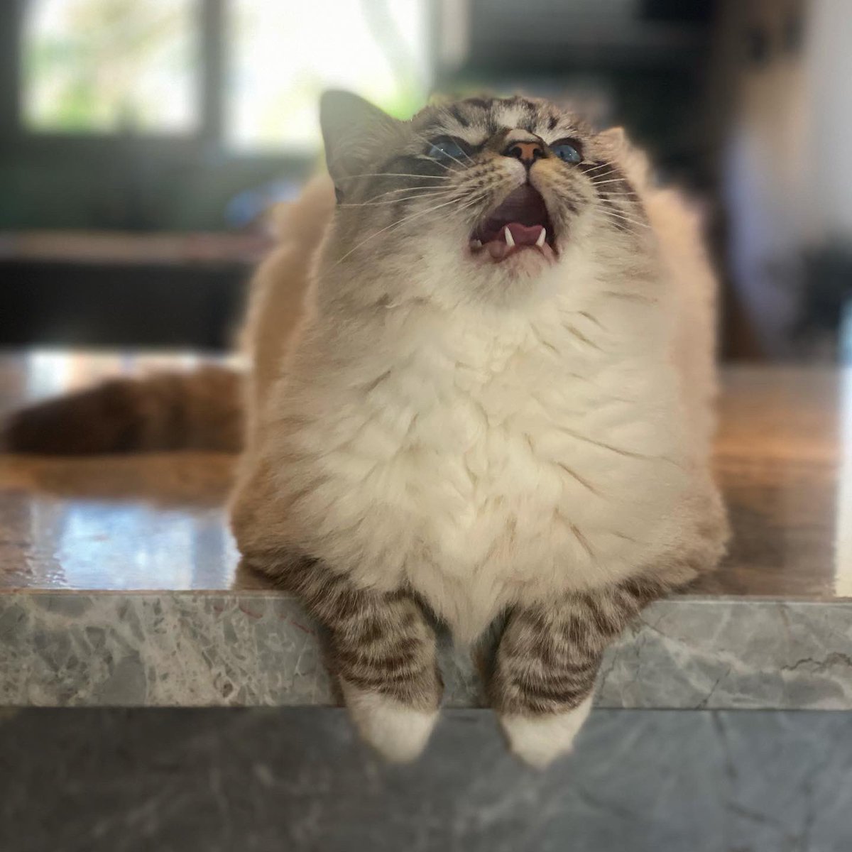 Michael Lynas tweet media