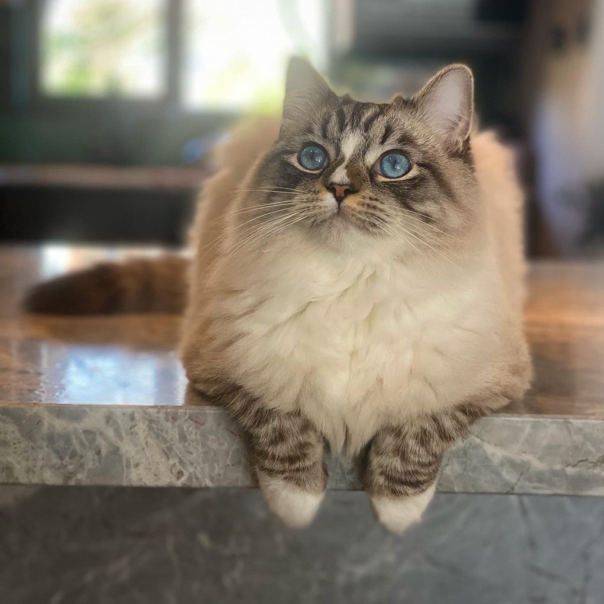 Michael Lynas tweet media