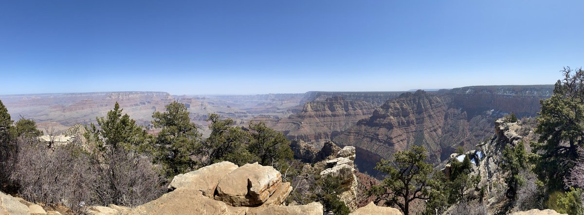 mfdSam's tweet image. Thank you @BuckWildAZ