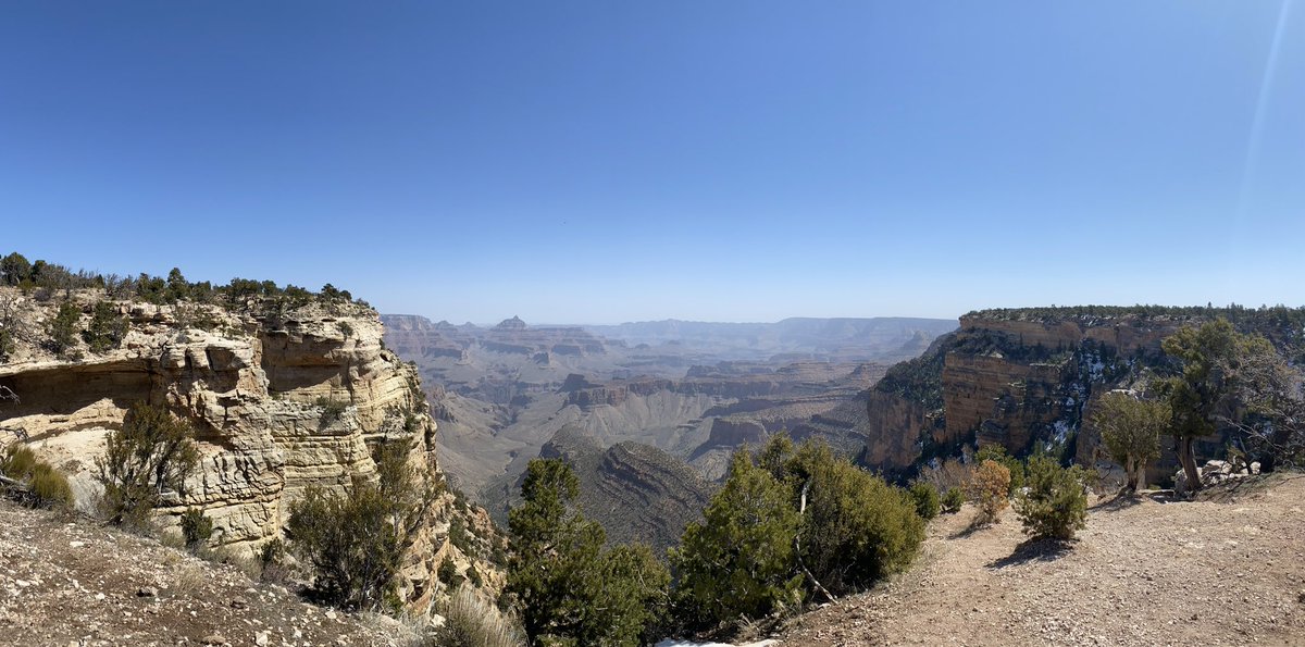 mfdSam's tweet image. Thank you @BuckWildAZ