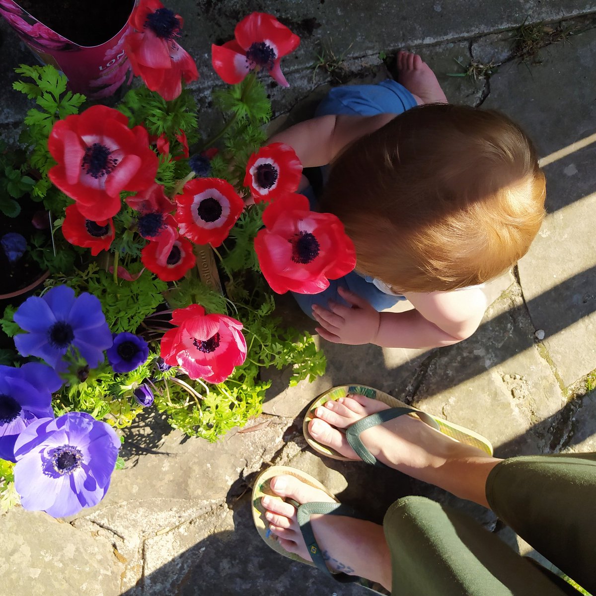 Springtime, for the first time of your life. My new #springtime