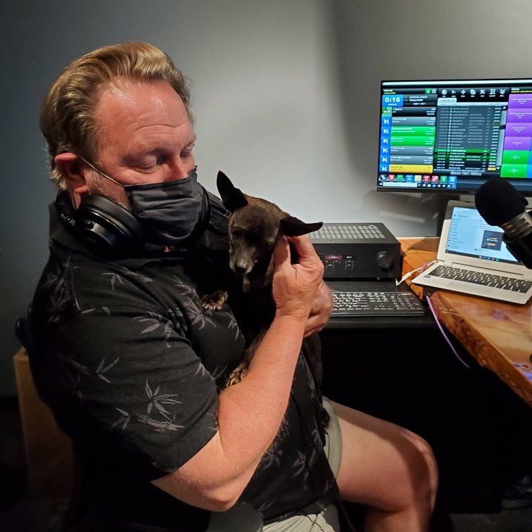 NapaShelter's tweet photo. This is Bella, she is 11 years young, full of life and friendly. We think she is a Chihuahua/Min Pin mix. She had her debut at KVON radio station with Barry on the morning show. Call the shelter and ask for Bella!
#adoptdontshop #winedownmedia #FriendsofNapaAnimals https://t.co/8NrMO0ZRpe
