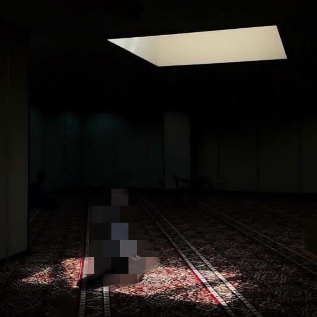 هنوشا 🦋 tweet media