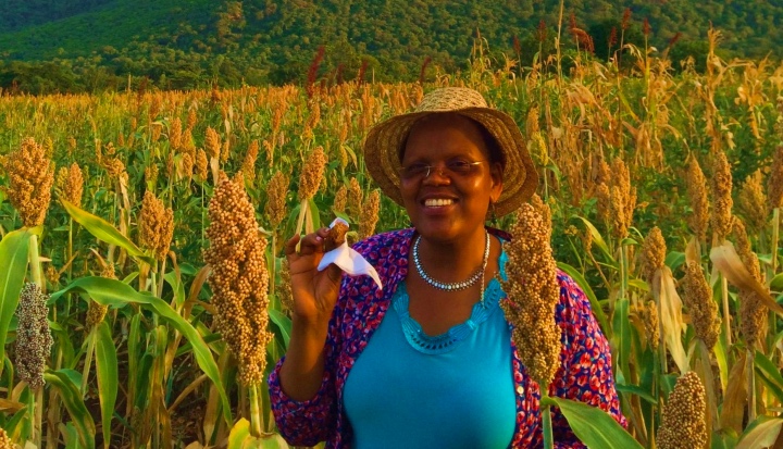 Financialafrik's tweet photo. Root Capital va lever 35 millions USD auprès de la Banque américaine de développement, Development Finance Corporation (DFC), pour appuyer les agriculteurs  de l’Afrique de l’est, d’Asie du Sud-Est et d’Amérique latine.  #RootCapital

https://t.co/YOMWH7XG65 https://t.co/7yMH8jGUvq