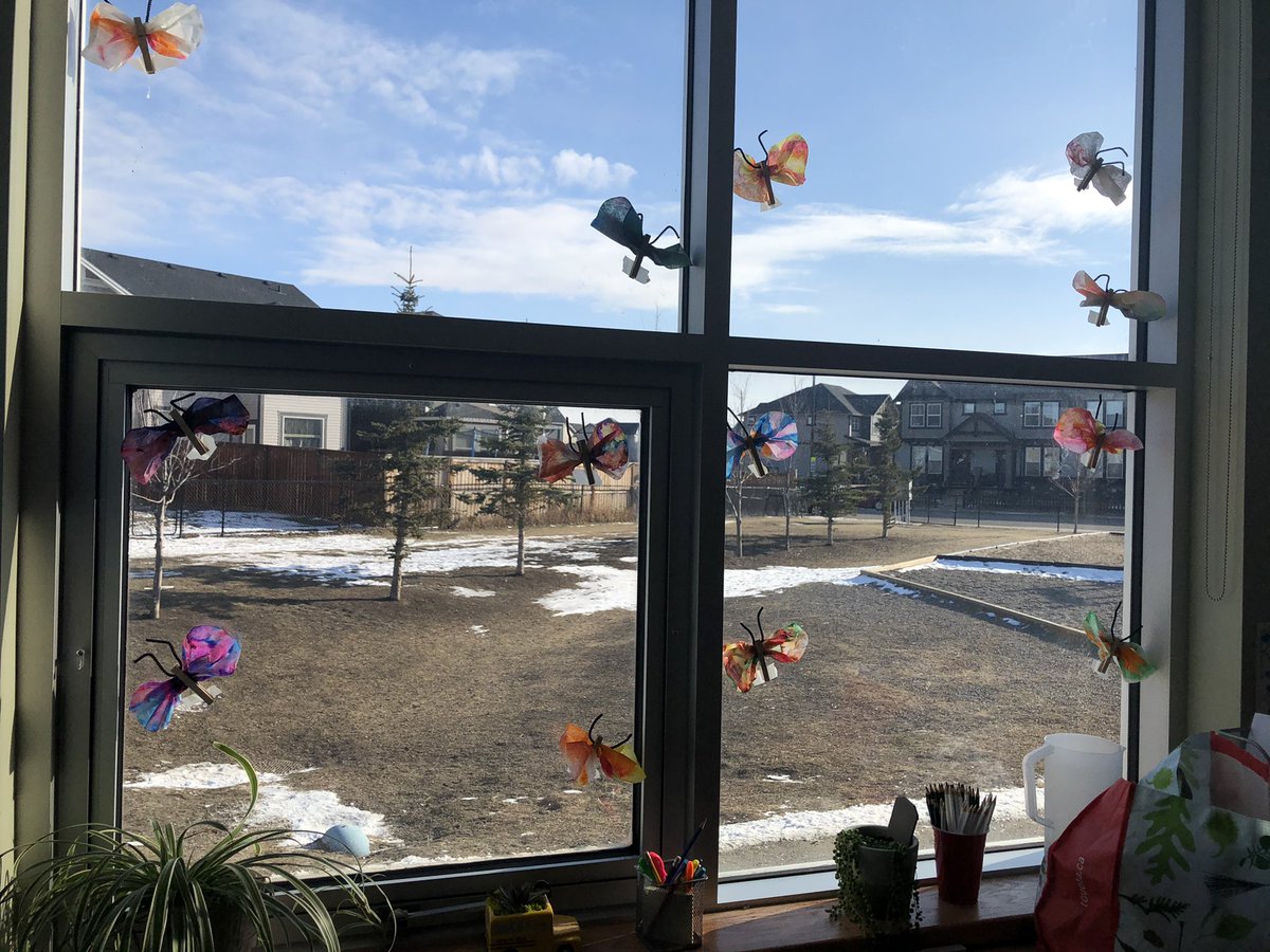 Melissa Zimmer tweet media