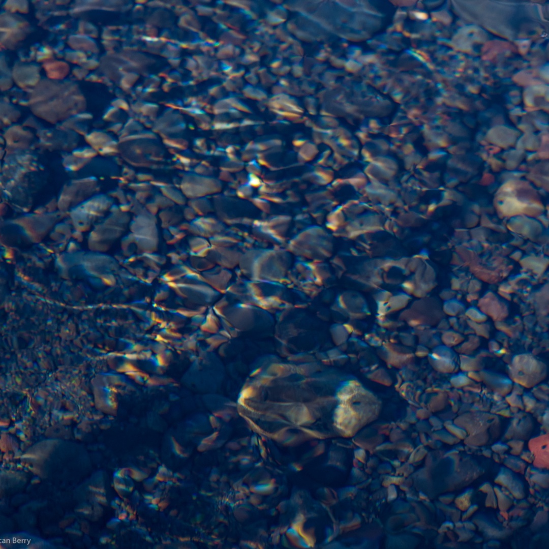 Underwater rock garden in the Metolius River.  Crystal clear, and very chilly!  Perfect for nice, clean rocks, and bright strong fishes!  #metoliusriver #rainbowtrout
