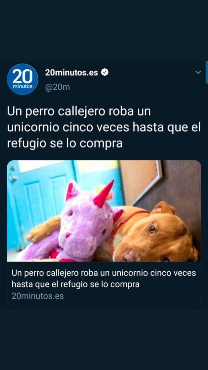 Najwa_Nimri's tweet photo. https://t.co/jzDDuxirHH