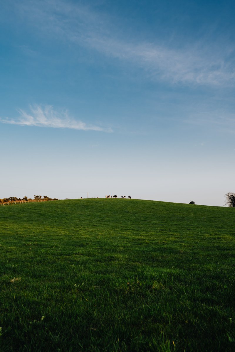 andreoloa's tweet image. Spring