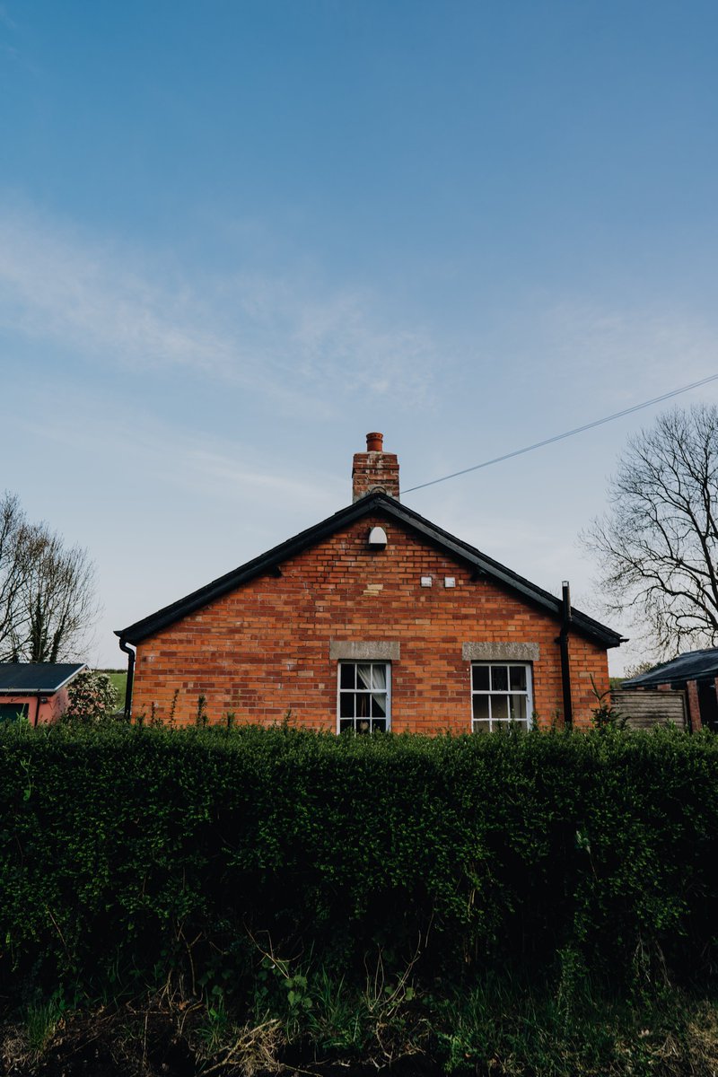 andreoloa's tweet image. Spring