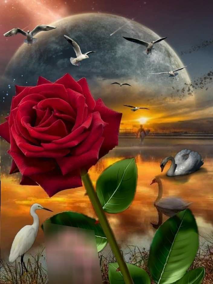 OmarOmafranco's tweet image. Siguenos 🌎💯🔄
🦋🌻↙️🌻🦋
@SHdzHdz 
@PatriciaBdez 
@MarcelaErcia 

@ita_lesly 
@SEBAS1KING 
@seba_696 
@IfbSdv 

@LILIX213 
@ErmindoBustama2 
@11Mancuso 
@BF1BF 

@Bryan_lpz223 
@dayanaraglez2 
@WomanCat71 
@MNADS_1 
@TrkerIklar1 
@BegoGM6 
@B1nadir 
@OmarOma64360171 
⚘⚘🌻🌻