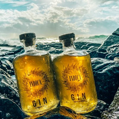 IndicaPremium's tweet photo. #NewProfilePic https://t.co/5UtWBI04wN