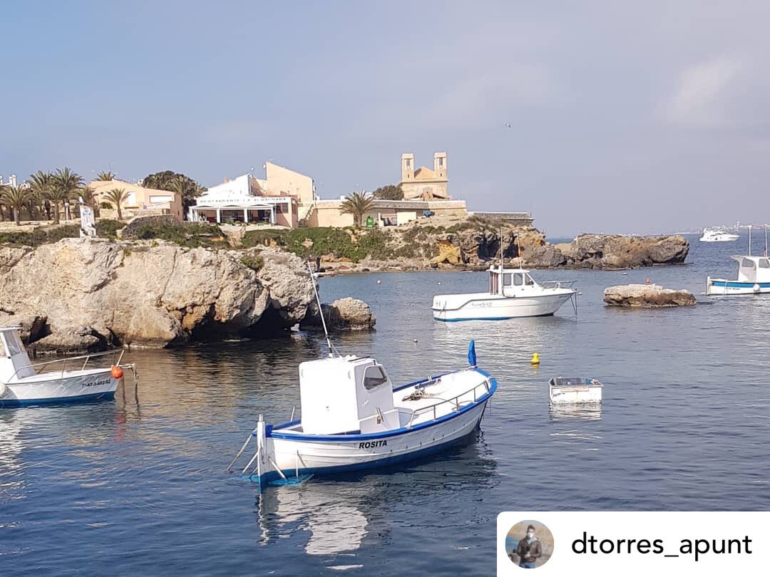 Tabarcacharter's tweet photo. Nos encanta los reportajes en Isla de Tabarca 🏝🌞
Si todavía no has hecho tu reserva para estos días corre a la web. 
https://t.co/SS9M9Z5iBQ

📸 • @dtorres_apunt @terraapunt @miguelsogo

#terraviva #apunt #Tabarca #island #mediambient #nature #albufera #reporter #blue #sea https://t.co/aguU3oPqF2
