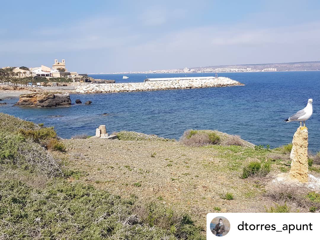 Tabarcacharter's tweet photo. Nos encanta los reportajes en Isla de Tabarca 🏝🌞
Si todavía no has hecho tu reserva para estos días corre a la web. 
https://t.co/SS9M9Z5iBQ

📸 • @dtorres_apunt @terraapunt @miguelsogo

#terraviva #apunt #Tabarca #island #mediambient #nature #albufera #reporter #blue #sea https://t.co/aguU3oPqF2