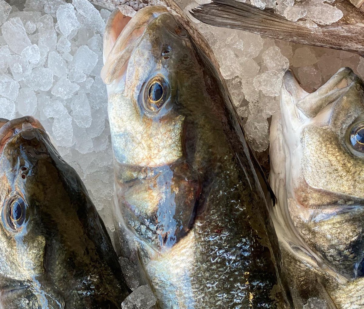 PassionSeafood's tweet photo. Not long now... #wildbass #call4fish https://t.co/GB8uRcQjTg