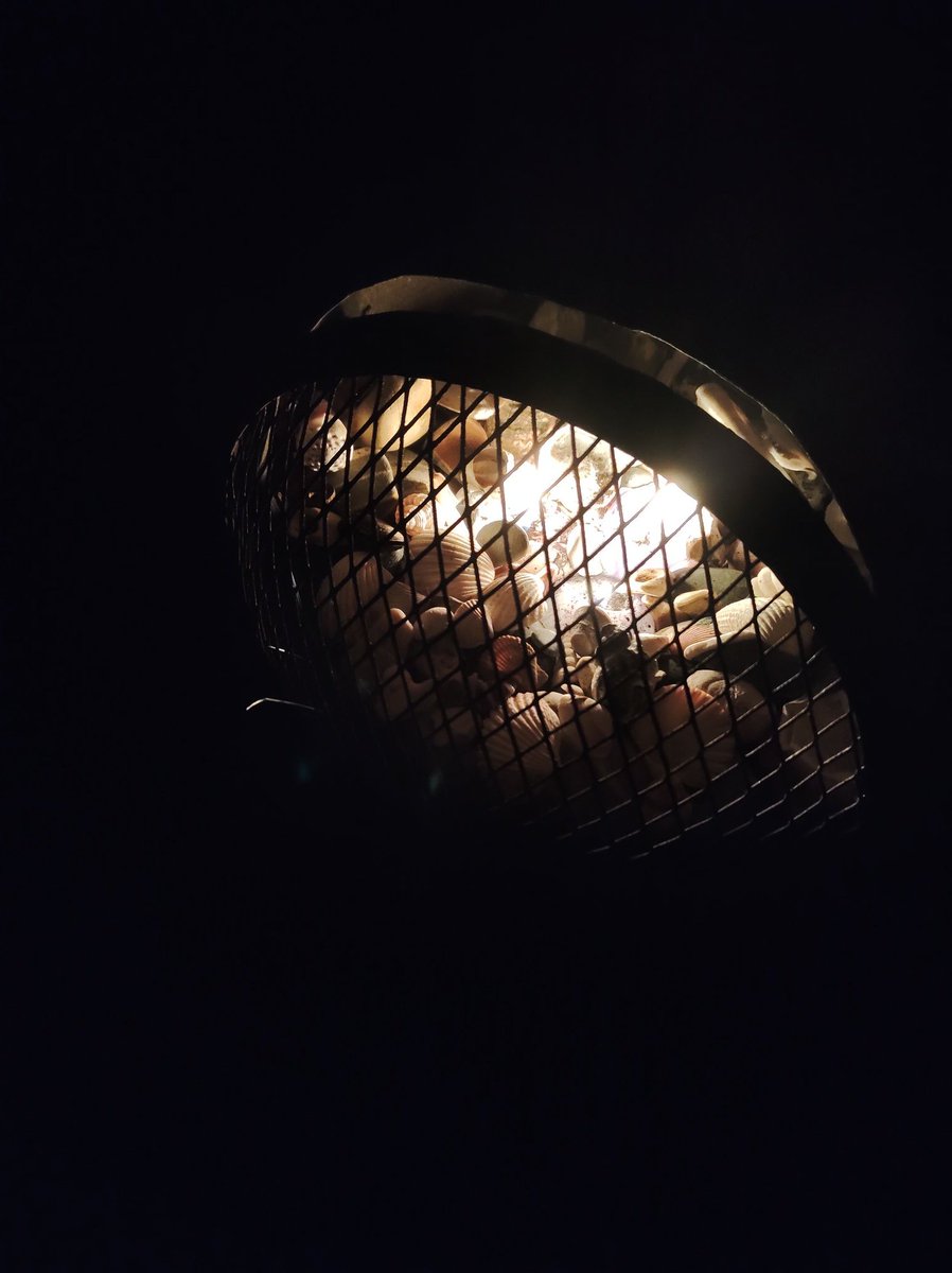 Dawnwb66's tweet image. I cut the lawn today for the first time this year, then I had a friend in my garden woo hoo!!!... So lovely! #feelingnormal 😀😍