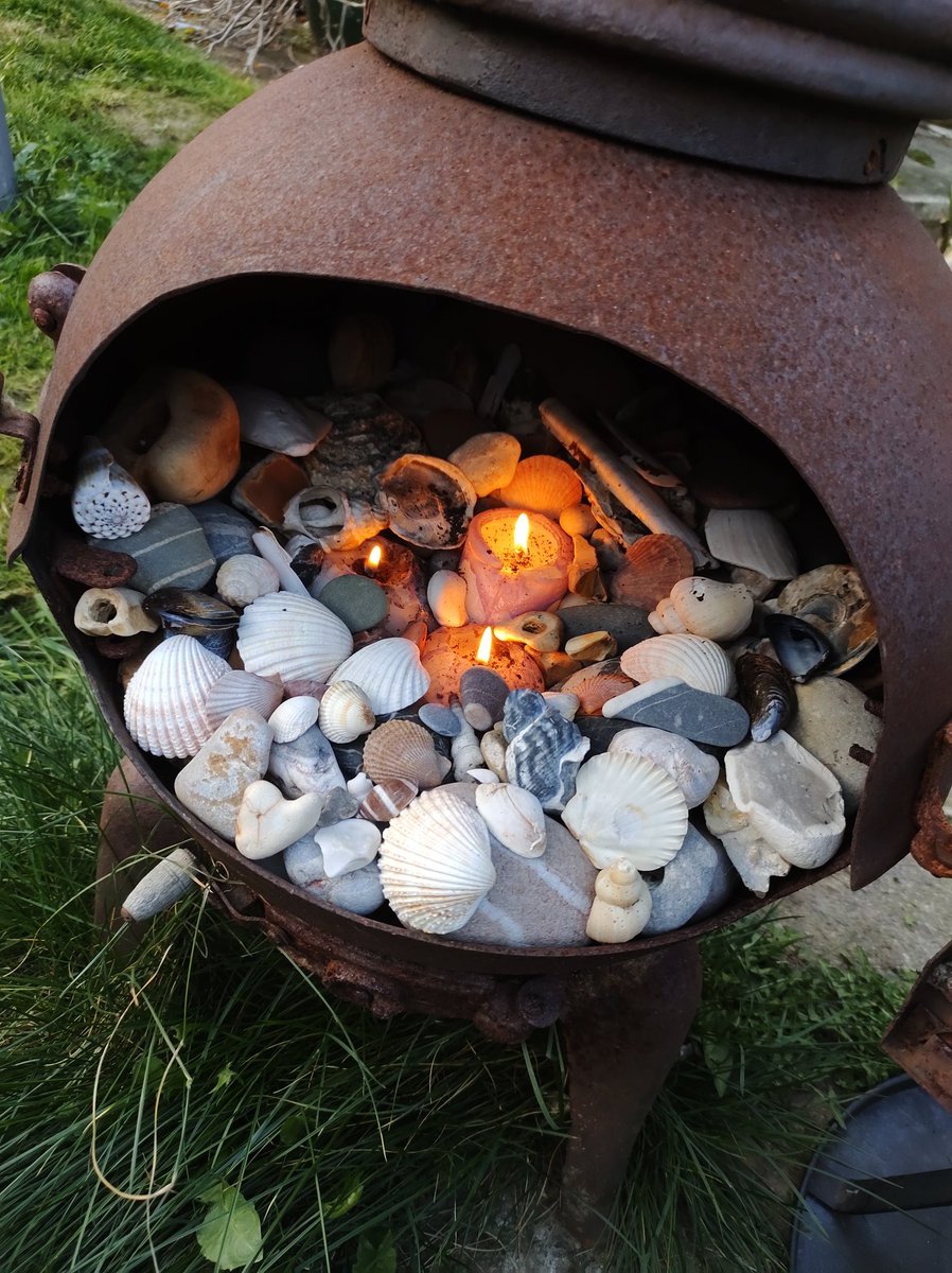 Dawnwb66's tweet image. I cut the lawn today for the first time this year, then I had a friend in my garden woo hoo!!!... So lovely! #feelingnormal 😀😍