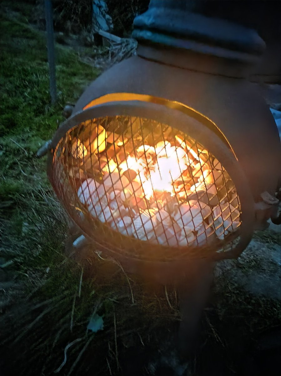 Dawnwb66's tweet image. I cut the lawn today for the first time this year, then I had a friend in my garden woo hoo!!!... So lovely! #feelingnormal 😀😍