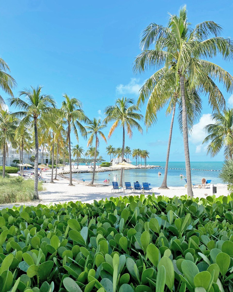 There are four chairs... who are you bringing!? 😃