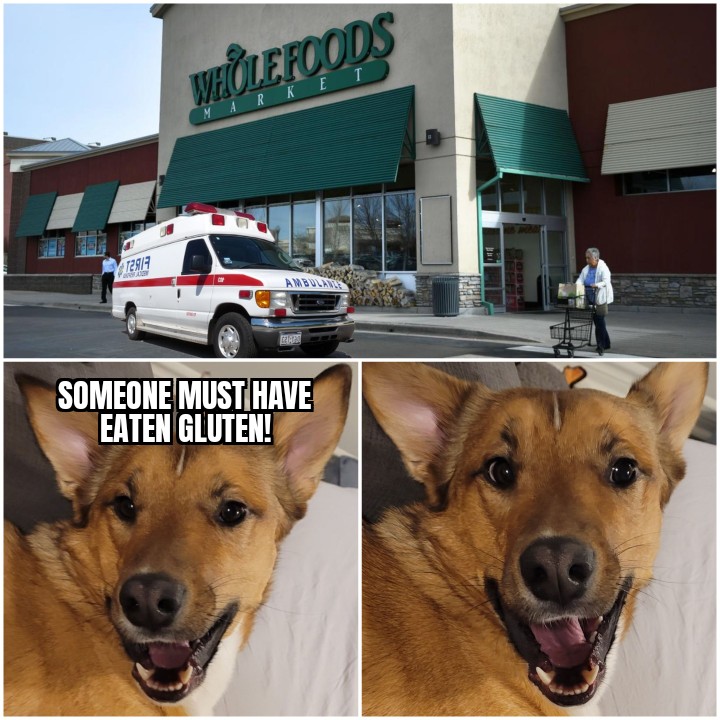 Frank tweet media