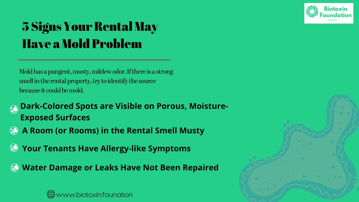 Biotoxin_Fdn's tweet photo. Mold can be a serious problem—it can cause Health issues, it can be difficult to detect, and it can be expensive to remove.

🌐Visit our Website to know about us:
https://t.co/2OTeSNVTE5

#toxicmold #biotoxicfoundation #Health https://t.co/Rc3dHq9O3r