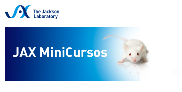 asochital's tweet photo. Mini cursos gratis y en Español! https://t.co/IUC5hXRXoS https://t.co/2n7E49DzhY