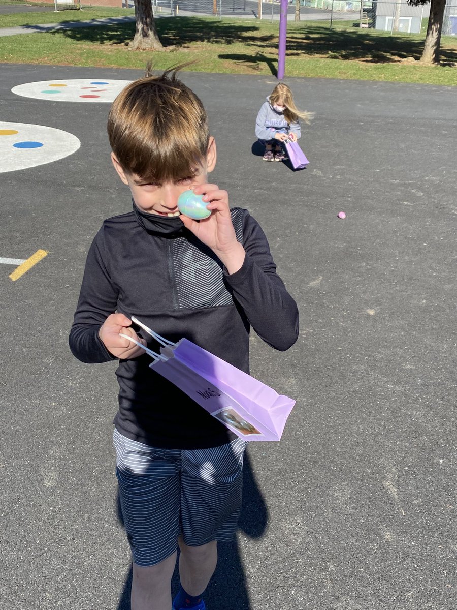 MissGentzler1's tweet image. Educational egg hunt today! ⁦@DESPolarBears⁩ #reCONNECTnycsd