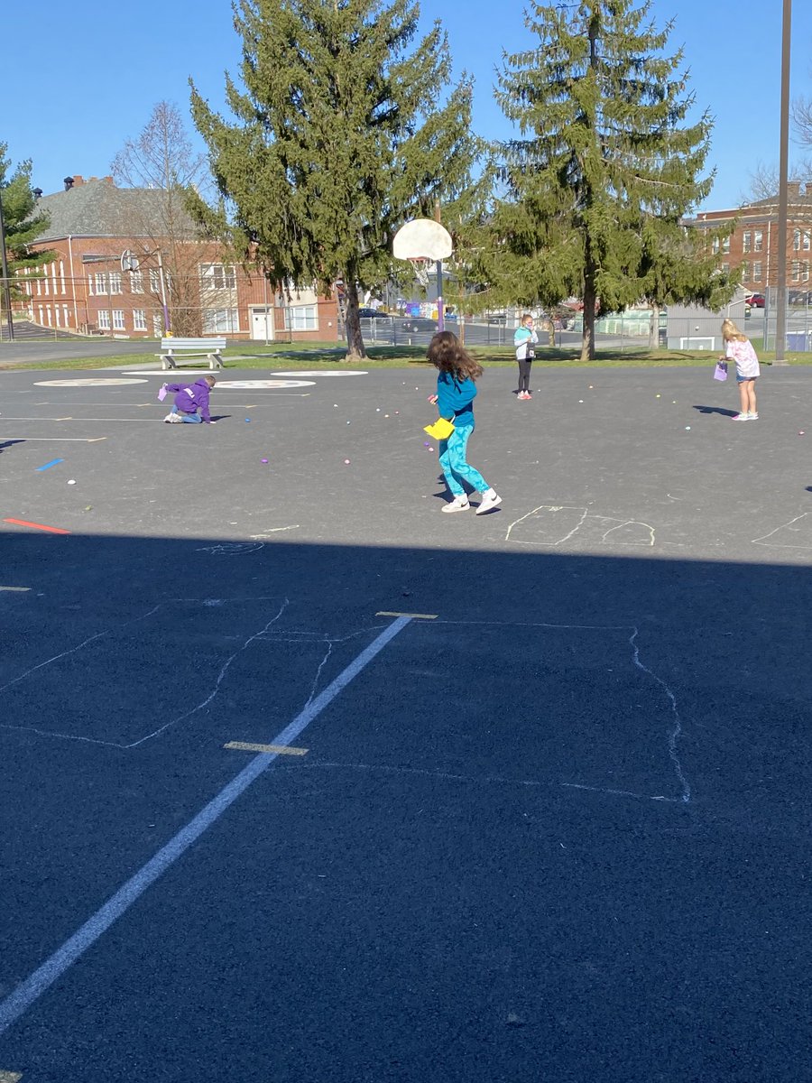 MissGentzler1's tweet image. Educational egg hunt today! ⁦@DESPolarBears⁩ #reCONNECTnycsd