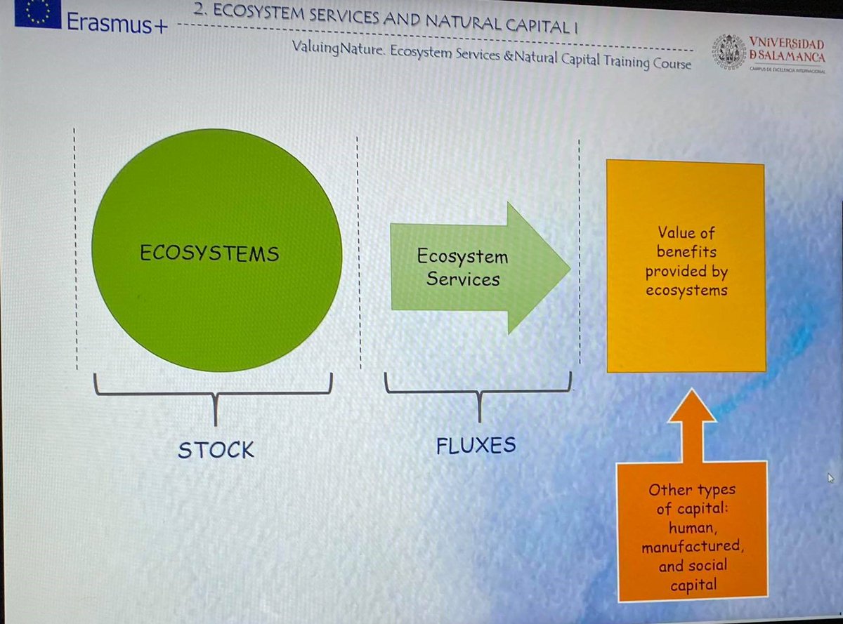 ValueNature1's tweet photo. Meaning of ecosystem in environment 

ValueNature- Erasmus + project 

#EU #ErasmusPlus #ecosystem #internationalproject https://t.co/Hrrzi6aG7d