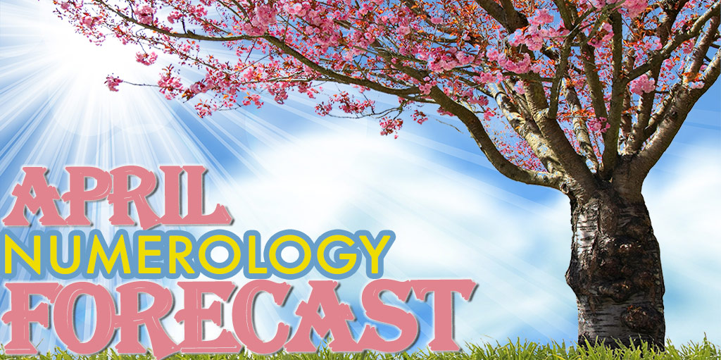 decoz numerology personal year decoz numerology personal year
