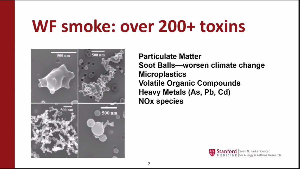westcenter's tweet photo. Nadeau: Unfortunately, the chemicals from wildfire are going to be affecting the health of individuals, even if the smoke is unseen. https://t.co/EfWIiSlsuE