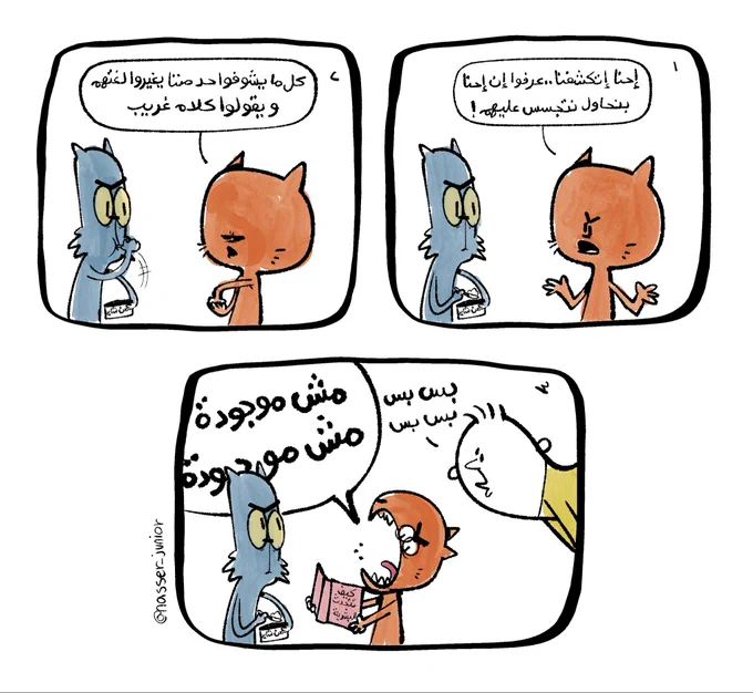 🐈 