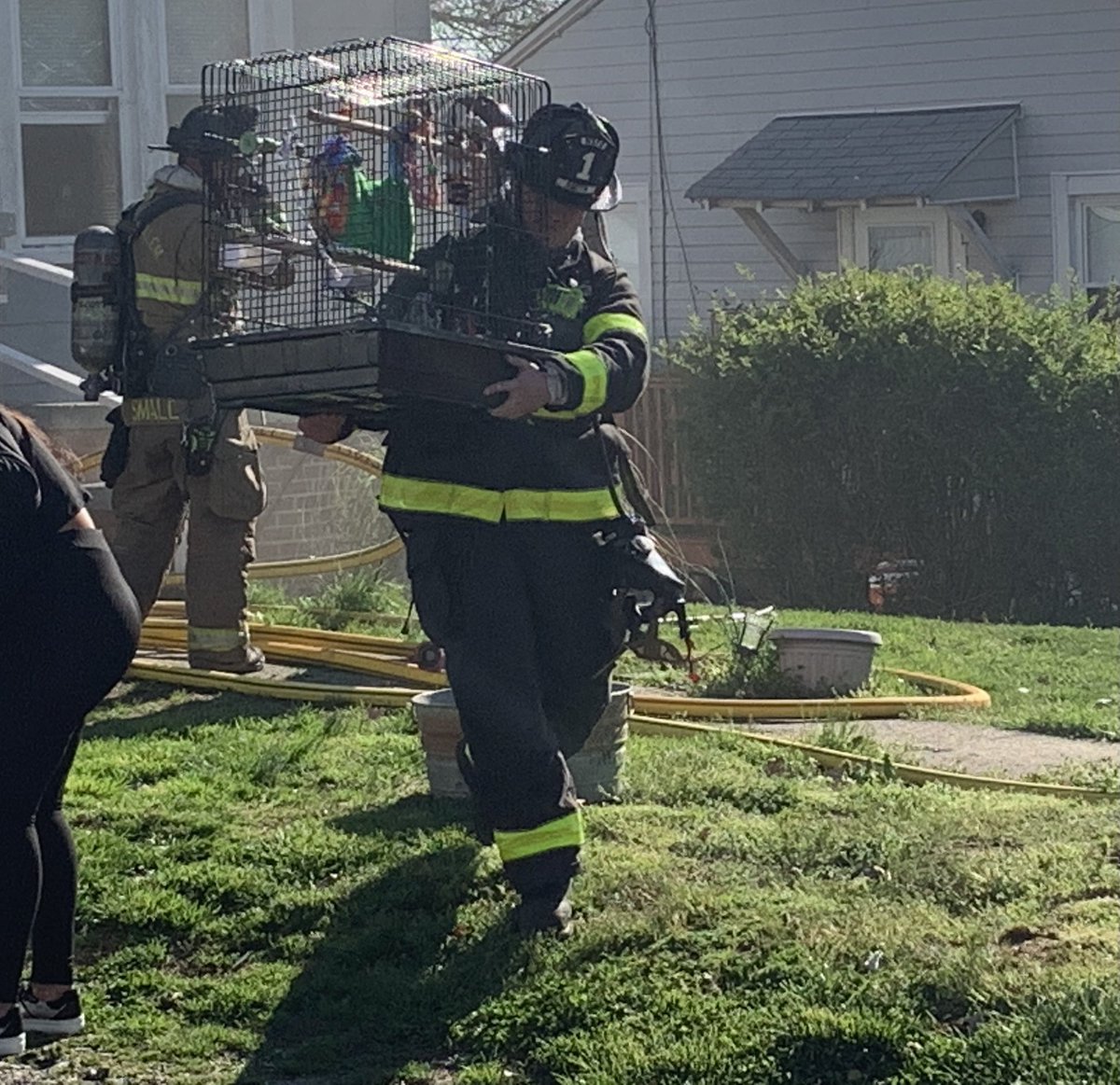 cityofwsfire's tweet photo. Quick action by companies saved the life of 3 dogs &amp; 3 parrots.  #wsfire.143 https://t.co/WJI6Zyv5Hm
