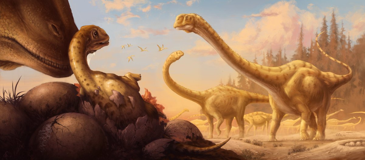 cullen_townsend's tweet photo. A new born Patagosaurus hatchling takes her first breaths in the dusty air, 163 million years ago.

#sciart #paleontology #paleoart #scicomm #dinosaurs #sauropod https://t.co/3d8gxN95bu