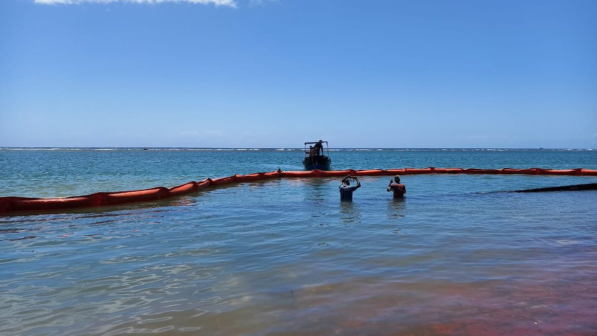 Roatan Marine Park tweet media