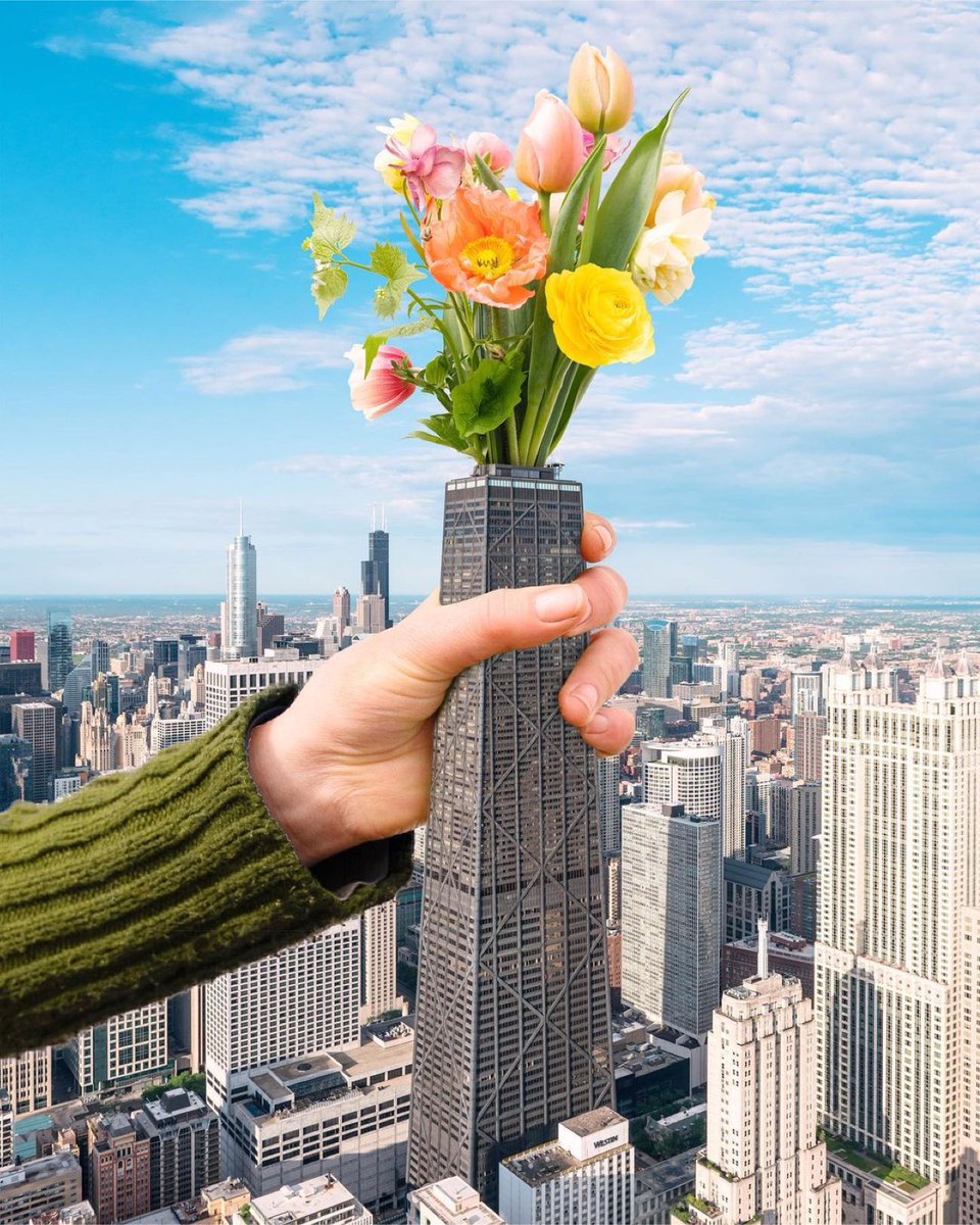 360chicago's tweet photo. Remember to give us lots of sun and water
Design by @liatnoten from a photo by @amyulo
#360chicago #chicago #spring #Ps_bloom https://t.co/GmOq81PrcP