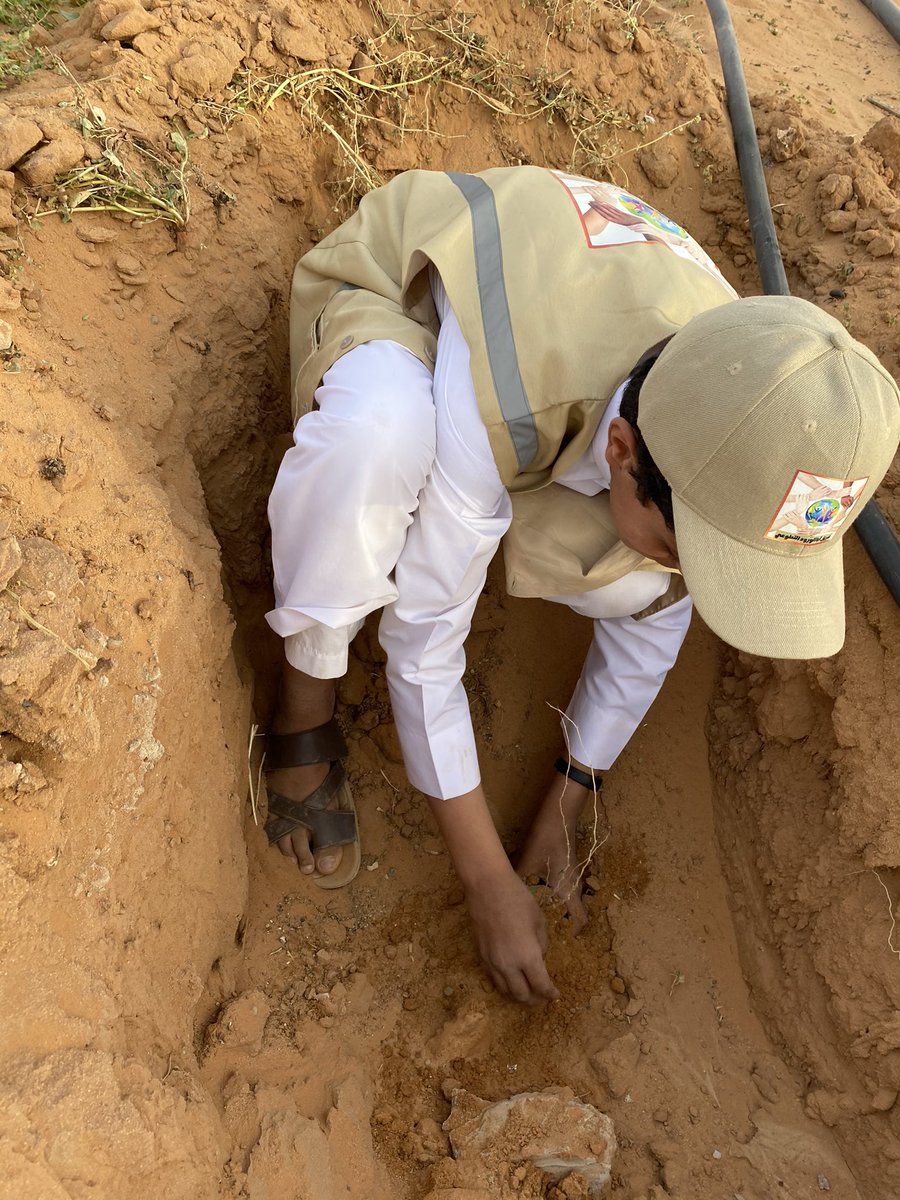 أنهى #فريق_أباالورود_التطوعي
أعمال غرس الشتلات في #روضة_أباالورود ضمن حملة سمو #أمير_القصيم 
#أرض_القصيم_خضراء المرحلة السابعة
وتم غرس قرابة ٨٠٠ شتلة صحراوية من بيئتنا 
تنوعت مابين ( طلح نجدي وقرض وسدر وغاف)

كل الشكر لأبطالنا ولمن شجعهم

#السعودية_الخضراء
 #الشرق_الأوسط_الأخضر