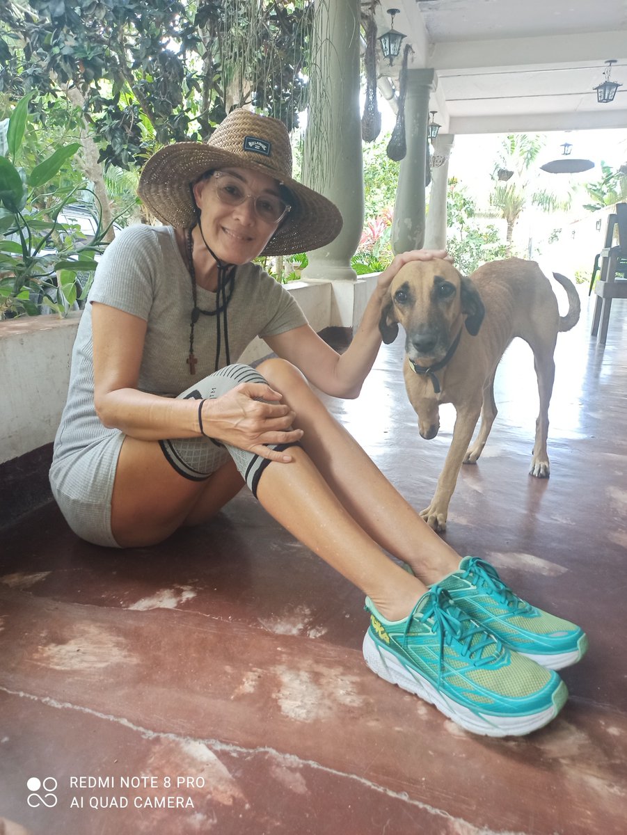 apoyocanino's tweet photo. Estamos muy contentos porque estamos pudiendo ayudar a muchos animales en #Venezuela con medicamentos de forma totalmente gratuita 😍 en este caso, vemos algunas imágenes de peluditos en Cuyagua con quienes pudimos coordinar la entrega de material en #Caracas 👏 https://t.co/zs3kkZC9Pm
