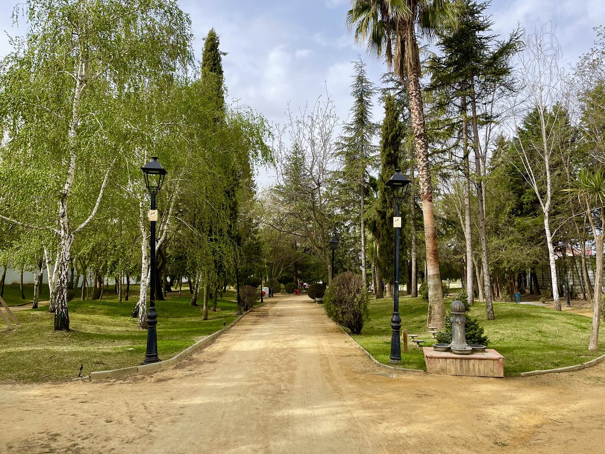 Aurora Suárez tweet media