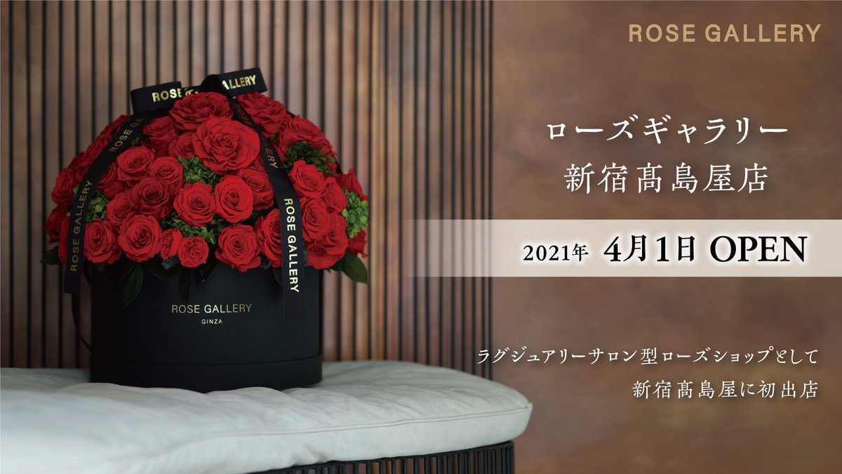 Timelessrose By Rose Gallery Rosegallerytr Twitter Timelessrose By Rose Gallery Rosegallerytr Twitter