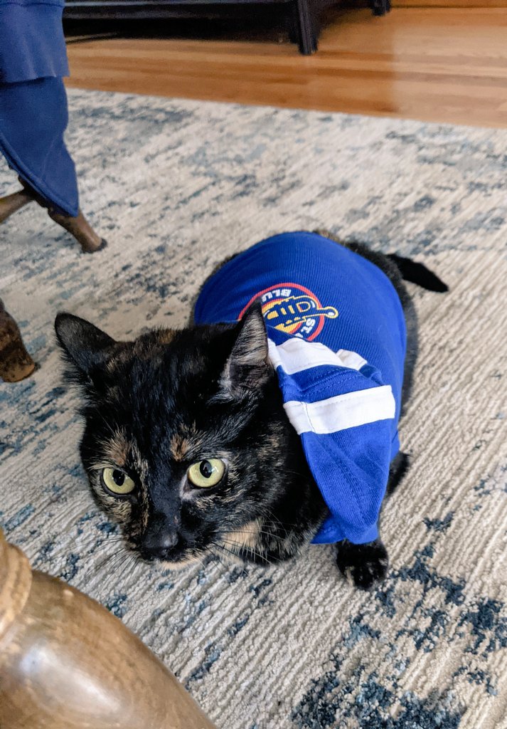 lsmalls7's tweet photo. @StLouisBlues cats are ready for #BarkinfortheBlues game day. Also ready for a win ๐บ๐บ #LGB #CatsOfHockey ๐ https://t.co/PVT4dN0oqd