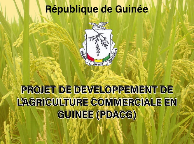 CommodAfrica's tweet photo. La BM accorde $ 100 millions à l'#agriculture en #Guinée
@WorldBankAfrica @FAOWestAfrica #PDACG
https://t.co/zoQ8TJ5Yxv https://t.co/HkSQ7aBRwr