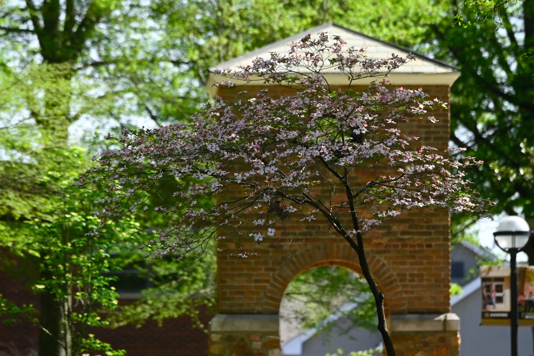 Harding University Admissions tweet media