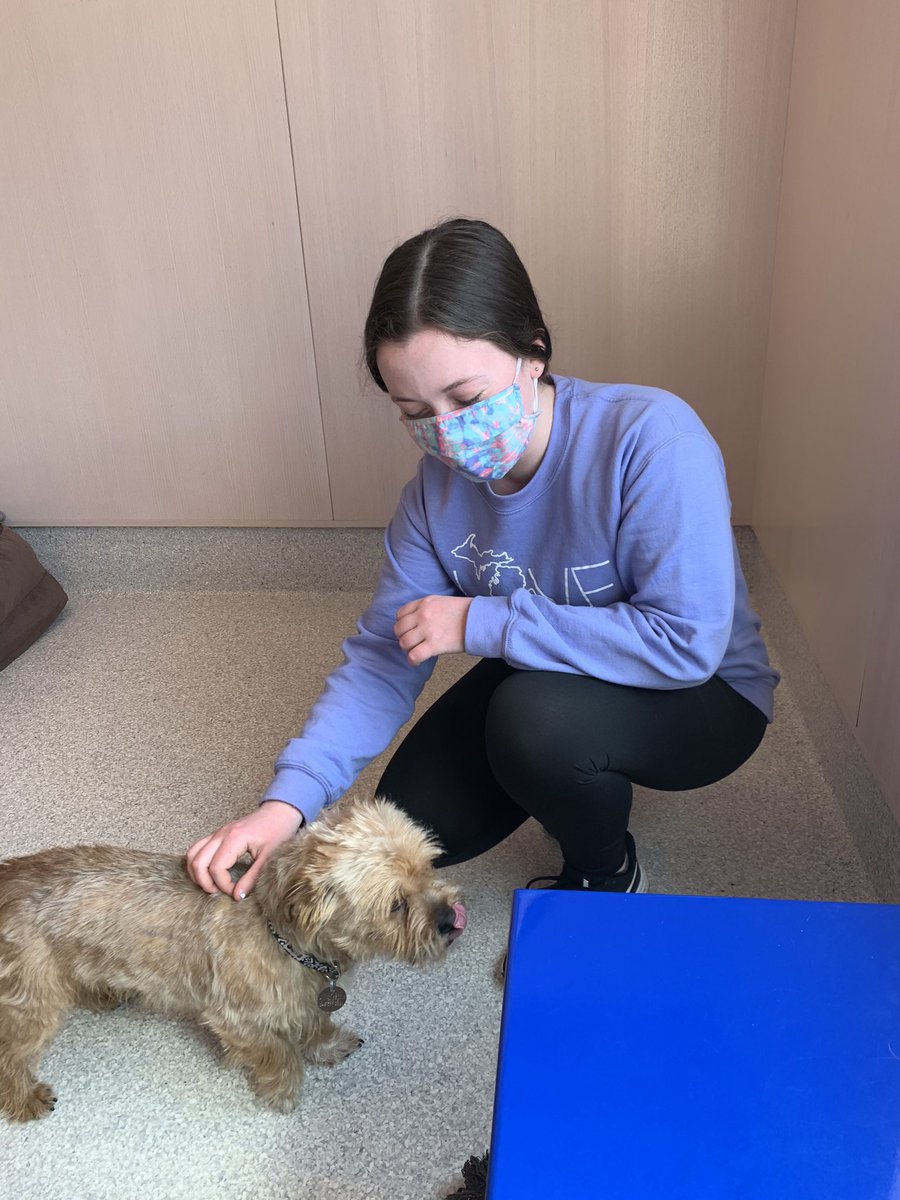 RochesterKey's tweet image. We are so proud to have donated 20 pet blankets and 100+ dog treats to Michigan Animal Rescue League (MARL)! We had so much participation from our club members to make this possible, so thank you to all volunteers! We are hopeful to continue working with MARL in the future!🐶🐱
