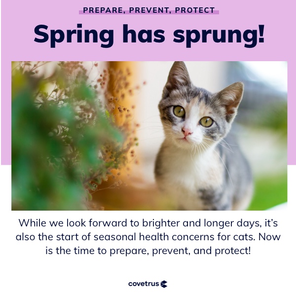 SigVetSvc's tweet photo. Spring has sprung! Don't forget to protect your furry friends every month. #preventatives #springhassprung #covetrus #discounts https://t.co/PHXiVlMvMc https://t.co/ZnR7zad8Lc