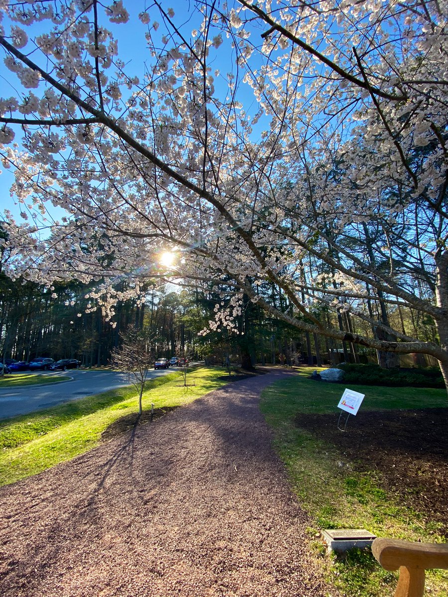 Spring is in the air! #SpringBreakFalconFun #SpringSights 🌷🌞 <a href="/FESCounselor/">Blair Owens Sutter</a> <a href="/VBFairfieldES/">Fairfield Elementary School @vbschools</a>
