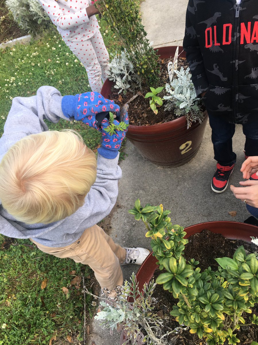 😍😍😍😍😍😍 Eggplant, Zinnia, Marigold, and Dahlia!